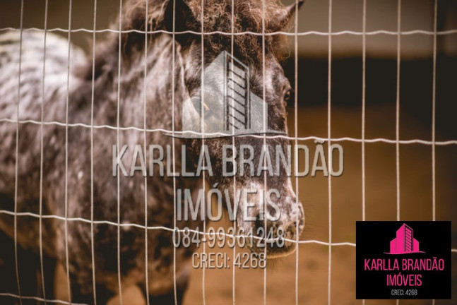 Imagem Imóvel com 3 Quartos à Venda, 250 m² em Zona Rural - Macaíba Imagem Imóvel com 3 Quartos à Venda, 250 m² em Zona Rural - Macaíba