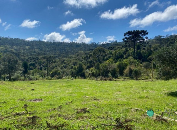 Imagem Imóvel com 1 Quarto à Venda, 20.000 m² em Zona Rural - Urubici