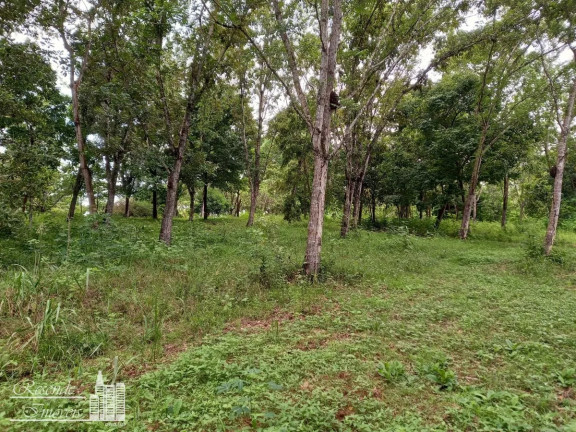 Imagem Terreno à Venda, 43.000 m² em Centro - Jacundá Imagem Terreno à Venda, 43.000 m² em Centro - Jacundá
