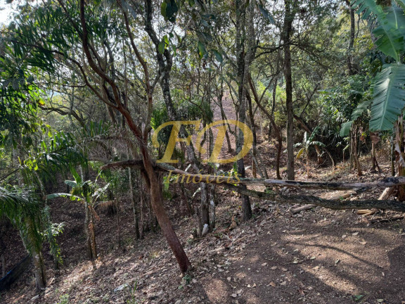 Imagem Casa com 3 Quartos à Venda, 1.000 m² em Mairiporã Imagem Casa com 3 Quartos à Venda, 1.000 m² em Mairiporã