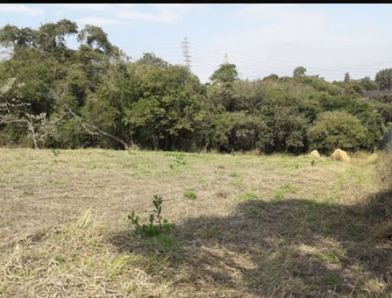 Imagem Imóvel à Venda, 5.000 m² em Traviú - Jundiaí