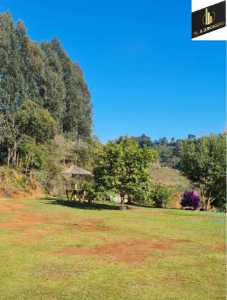 Imagem Imóvel com 4 Quartos à Venda, 46.000 m² em Freguesia Dos Laras - Campo Magro