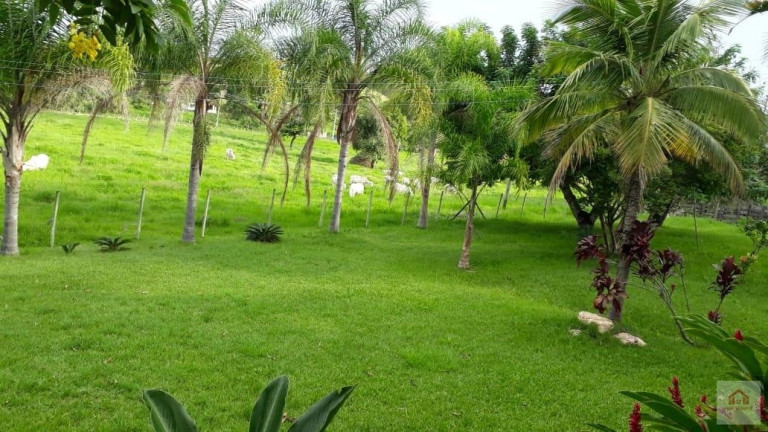Imagem Fazenda à Venda, 8 m² em Camburi - Maricá