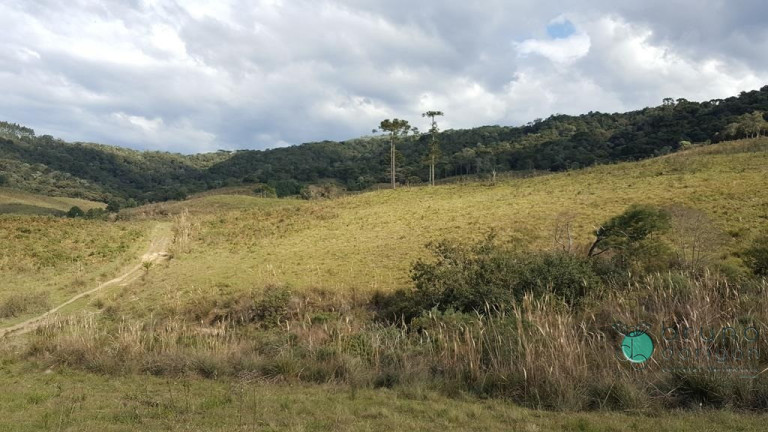 Imagem Terreno à Venda, 450.000 m² em Zona Rural - Bom Retiro Imagem Terreno à Venda, 450.000 m² em Zona Rural - Bom Retiro