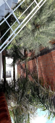 Imagem Sobrado com 3 Quartos à Venda, 140 m² em Jardim Quaresmeira - Suzano Imagem Sobrado com 3 Quartos à Venda, 140 m² em Jardim Quaresmeira - Suzano