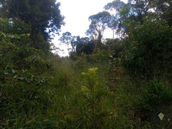 Imagem Imóvel à Venda, 20.000 m² em Roças Novas (caeté - Mg) - Caeté Imagem Imóvel à Venda, 20.000 m² em Roças Novas (caeté - Mg) - Caeté