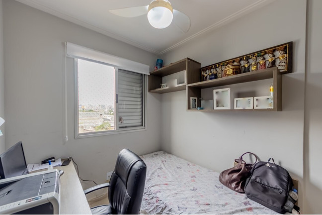 Imagem Apartamento com 3 Quartos à Venda, 64 m² em água Branca - São Paulo Imagem Apartamento com 3 Quartos à Venda, 64 m² em água Branca - São Paulo