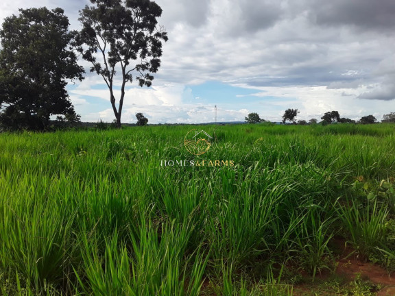 Imagem Imóvel com 3 Quartos à Venda, 2.770 m² em Zona Rural - Barra Do Bugres Imagem Imóvel com 3 Quartos à Venda, 2.770 m² em Zona Rural - Barra Do Bugres