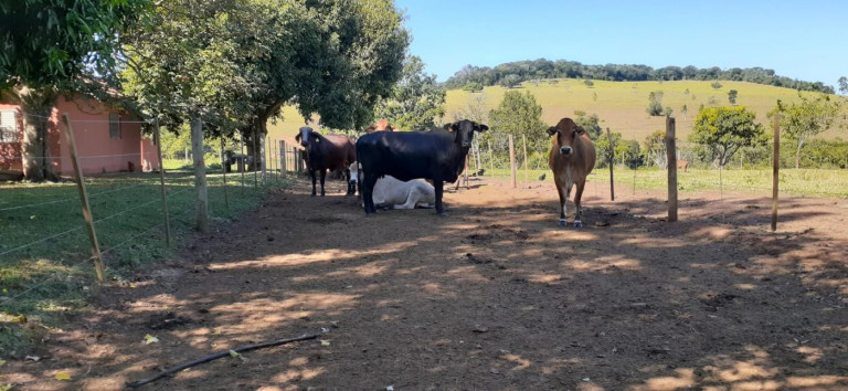 Imagem Fazenda à Venda, 158 m² em Rural - Avaré Imagem Fazenda à Venda, 158 m² em Rural - Avaré