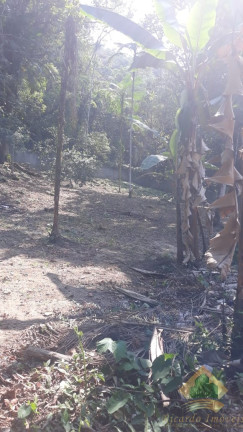 Imagem Chácara com 4 Quartos à Venda, 550 m² em Horto Florestal - Ubatuba Imagem Chácara com 4 Quartos à Venda, 550 m² em Horto Florestal - Ubatuba