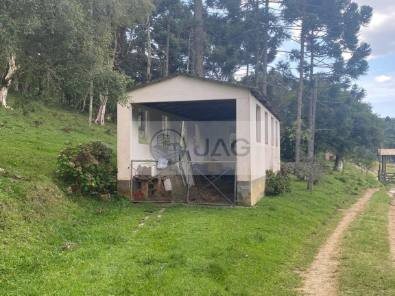 Imagem Imóvel com 6 Quartos à Venda, 3.000 m² em Distrito Industrial - Campina Grande Do Sul Imagem Imóvel com 6 Quartos à Venda, 3.000 m² em Distrito Industrial - Campina Grande Do Sul
