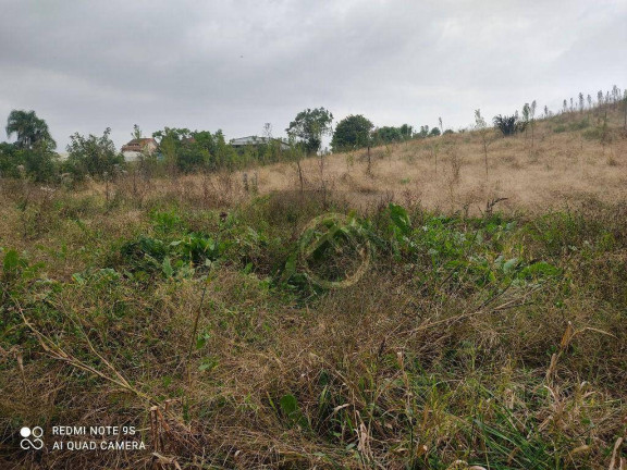 Imagem Chácara com 4 Quartos à Venda, 38.000 m² em Roça Velha - São José Dos Pinhais