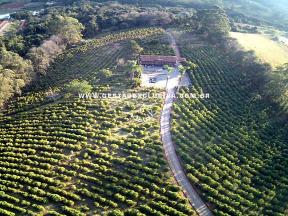 Imagem Chácara com 6 Quartos à Venda, 48.400 m² em Zona Rural - Morungaba