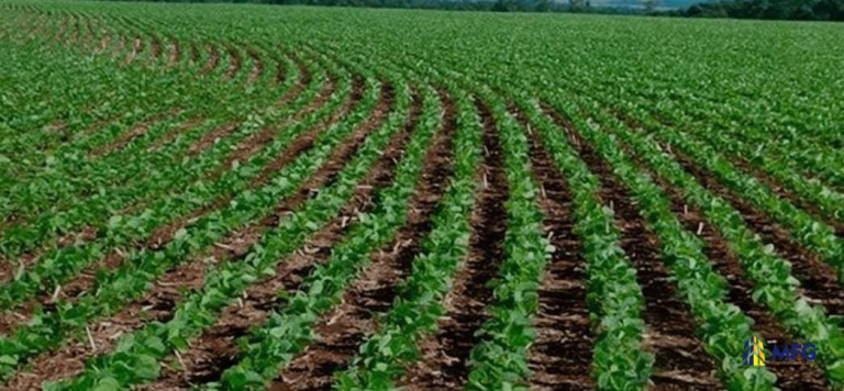 Chácara à Venda,  em área Rural - Tupaciguara