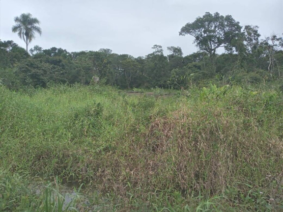 Imagem Terreno à Venda, 360 m² em Ervino - São Francisco Do Sul Imagem Terreno à Venda, 360 m² em Ervino - São Francisco Do Sul