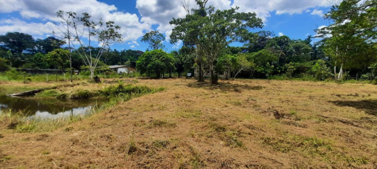 Imagem Imóvel com 2 Quartos à Venda, 3.500 m² em Gaivota (interior) - Itanhaém