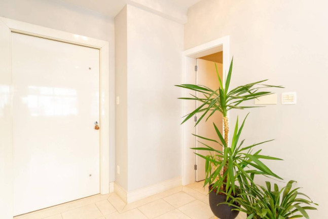 Imagem Imóvel com 3 Quartos à Venda, em Higienópolis - São Paulo Imagem Imóvel com 3 Quartos à Venda, em Higienópolis - São Paulo