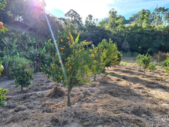 Imagem Chácara com 2 Quartos à Venda, 55.000 m² em Piracaia - Piracaia Imagem Chácara com 2 Quartos à Venda, 55.000 m² em Piracaia - Piracaia