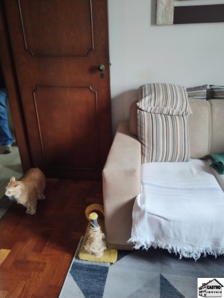 Imagem Casa com 4 Quartos à Venda, em Cidade Líder - São Paulo Imagem Casa com 4 Quartos à Venda, em Cidade Líder - São Paulo