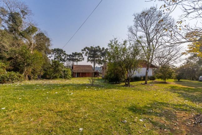 Imagem Imóvel com 4 Quartos à Venda, 99.615 m² em Rondinha - Campo Largo