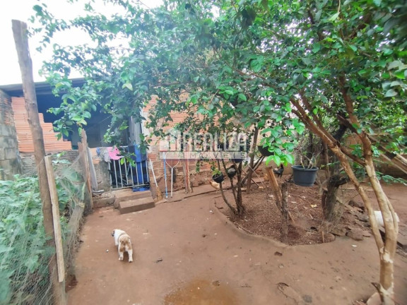 Imagem Casa com 3 Quartos à Venda, 240 m² em Núcleo Habitacional Silvério Cartafina - Uberaba