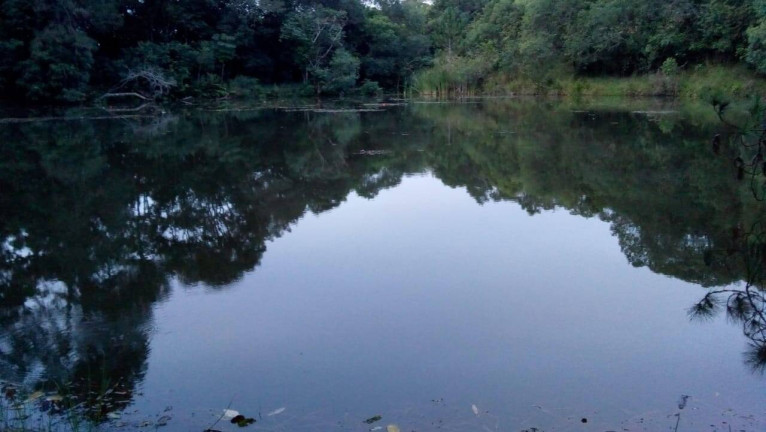 Imagem Chácara com 3 Quartos à Venda, 26.000 m² em Curitibanos - Bragança Paulista Imagem Chácara com 3 Quartos à Venda, 26.000 m² em Curitibanos - Bragança Paulista