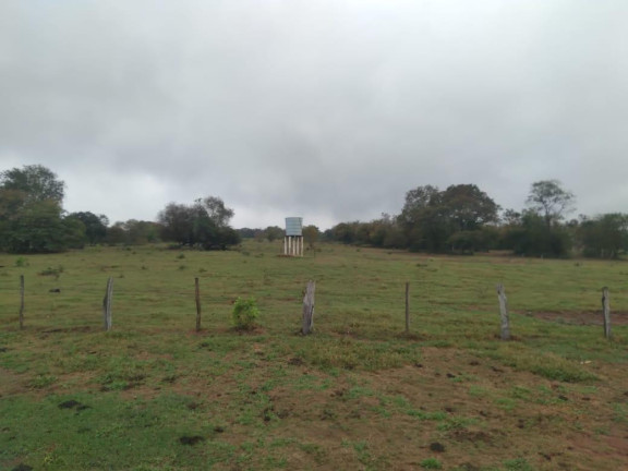Imagem Fazenda à Venda, 730 m² em Rural - Corguinho Imagem Fazenda à Venda, 730 m² em Rural - Corguinho