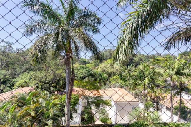 Imagem Imóvel com 3 Quartos à Venda, 530 m² em Morumbi - São Paulo Imagem Imóvel com 3 Quartos à Venda, 530 m² em Morumbi - São Paulo