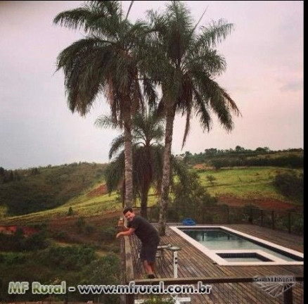 Imagem Fazenda à Venda, 28.000 m² em Joaquim Egídio - Campinas Imagem Fazenda à Venda, 28.000 m² em Joaquim Egídio - Campinas