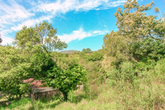 Imagem Chácara com 3 Quartos à Venda, 18.000 m² em Itapuã - Viamão