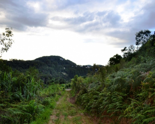 Imagem Imóvel à Venda, em Vila Germânia - Nova Petrópolis Imagem Imóvel à Venda, em Vila Germânia - Nova Petrópolis