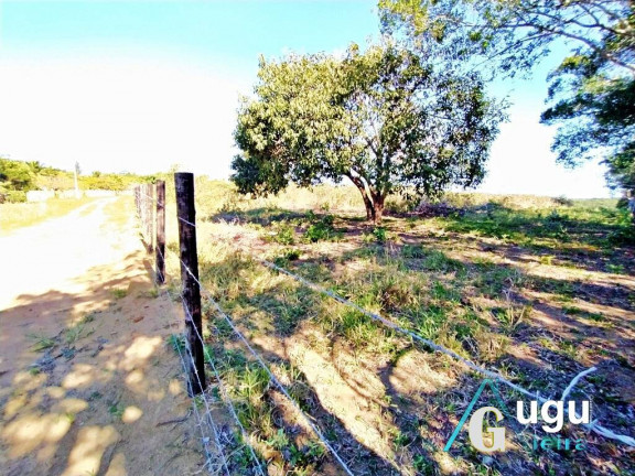 Imagem Chácara à Venda, 117.280 m² em Lameirão - Guarapari Imagem Chácara à Venda, 117.280 m² em Lameirão - Guarapari