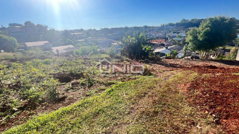 Terreno à Venda, 360 m² em Pato Branco