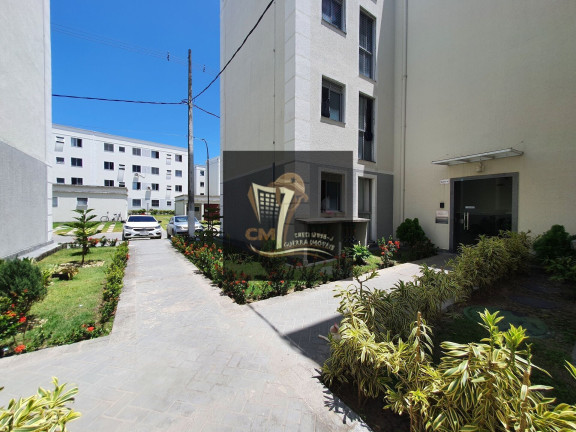 Imagem Apartamento com 2 Quartos para Alugar, 45 m² em Piedade - Jaboatão Dos Guararapes Imagem Apartamento com 2 Quartos para Alugar, 45 m² em Piedade - Jaboatão Dos Guararapes