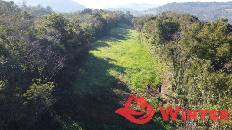 Imagem Chácara à Venda, 8.837 m² em Bom Princípio Imagem Chácara à Venda, 8.837 m² em Bom Princípio