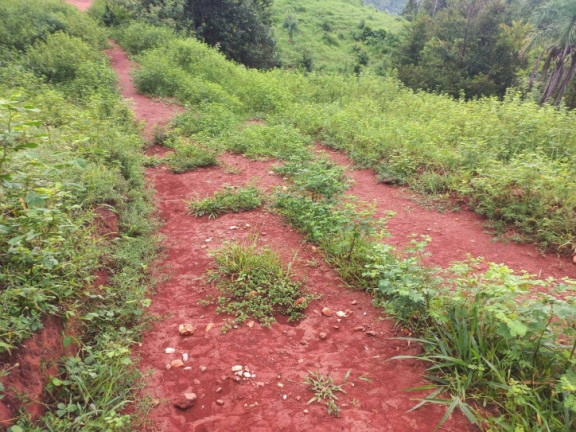Fazenda à Venda, 14 m² em Zona Rural - Montividiu Do Norte