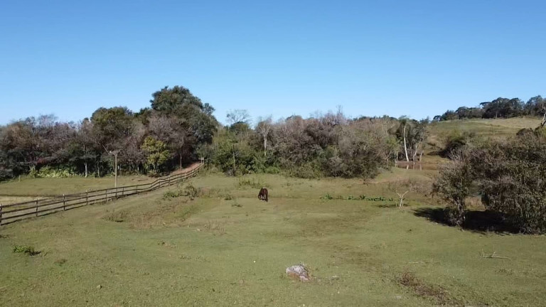 Imagem Chácara à Venda, 49.733 m² em Centro - Santa Cruz Do Sul