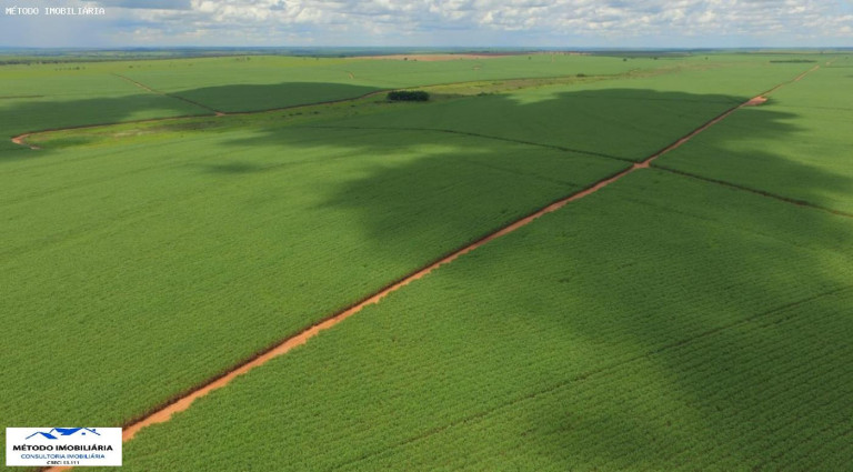 Imagem Fazenda à Venda, 400 m² em Rural - Araçatuba