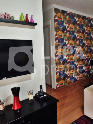 Imagem Apartamento com 3 Quartos à Venda, 67 m² em Vila Constança - São Paulo
