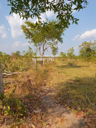 Imagem Imóvel à Venda, 83.400 m² em Joatão - São Félix Do Araguaia Imagem Imóvel à Venda, 83.400 m² em Joatão - São Félix Do Araguaia