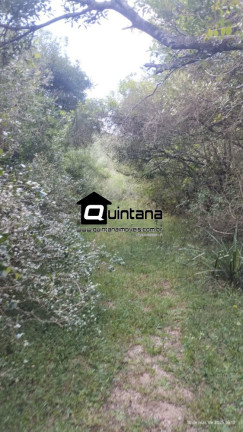 Imagem Imóvel com 2 Quartos à Venda, 700.000 m² em Centro - Herval