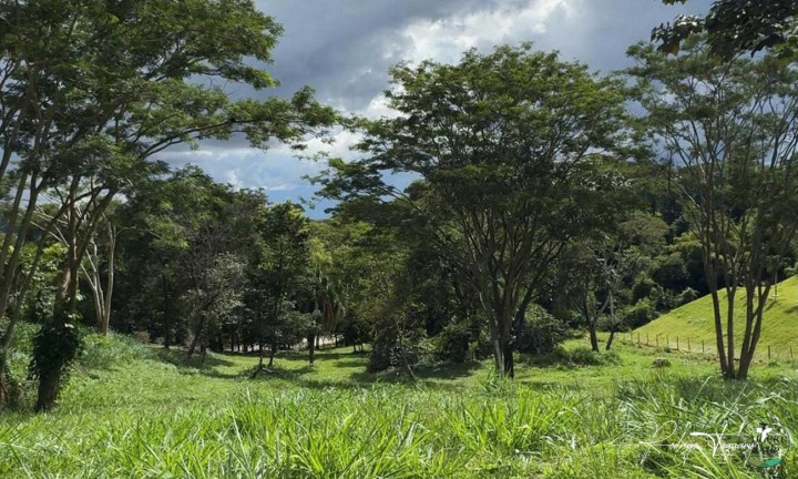 Terreno à Venda, 2.914 m² em Residencial Aldeia Do Vale - Goiânia
