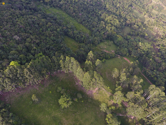Imagem Terreno à Venda, 370.489 m² em Sul Do Rio - Santo Amaro Da Imperatriz Imagem Terreno à Venda, 370.489 m² em Sul Do Rio - Santo Amaro Da Imperatriz