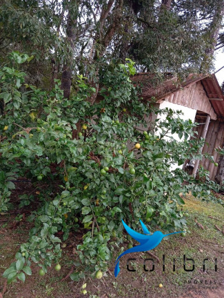 Imagem Chácara com 2 Quartos à Venda, 5.300 m² em Rio Da Várzea - Agudos Do Sul