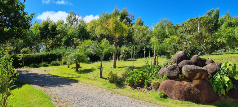 Imagem Chácara com 3 Quartos à Venda, 24.000 m² em Pedra Bela