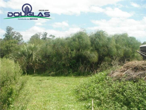 Imagem Chácara com 3 Quartos à Venda, 109 m² em Passo Vigário - Viamão