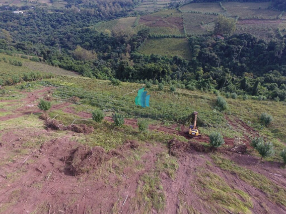 Imagem Terreno à Venda, 120.000 m² em Linha Pederneira - Monte Belo Do Sul Imagem Terreno à Venda, 120.000 m² em Linha Pederneira - Monte Belo Do Sul