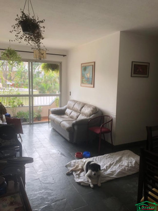 Imagem Apartamento com 3 Quartos à Venda, 82 m² em Vila Prudente - São Paulo