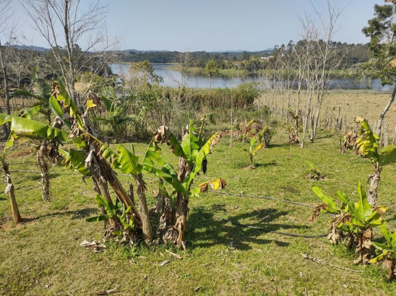 Imagem Chácara com 3 Quartos à Venda, 5.800 m² em Taiacupeba - Mogi Das Cruzes Imagem Chácara com 3 Quartos à Venda, 5.800 m² em Taiacupeba - Mogi Das Cruzes