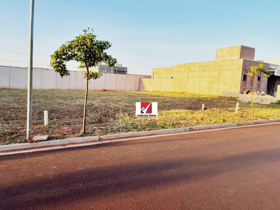 Terreno à Venda, 250 m² em Real Sul - Ribeirão Preto